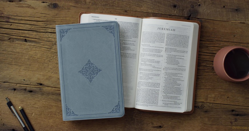 ESV Value Thinline Bible (TruTone, Paris Sky, Fleur-de-lis Design) [KSIĄŻKA]