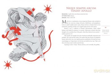 Et Cetera: An Illustrated Guide to Latin Phrases - Maia Lee-Chin [KSIĄŻKA]