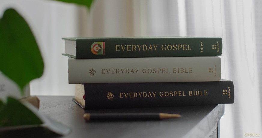 Everyday Gospel: A Daily Devotional Connecting Scripture to All of Life - Paul David Tripp [KSIĄŻKA]