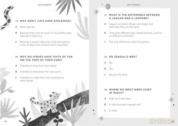 Everything Under the Sun: Quiz Book: A question for every day of the year - Molly Oldfield [KSIĄŻKA]