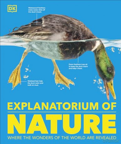 Explanatorium of Nature: Where the Wonders of the World are Revealed (DK Explanatorium) [KSIĄŻKA]