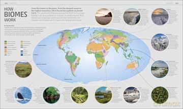 Explanatorium of Nature: Where the Wonders of the World are Revealed (DK Explanatorium) [KSIĄŻKA]