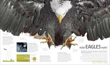 Explanatorium of Nature: Where the Wonders of the World are Revealed (DK Explanatorium) [KSIĄŻKA]