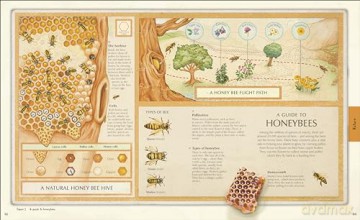 Explore: A Collection of Maps and Diagrams That Explain the World [KSIĄŻKA]