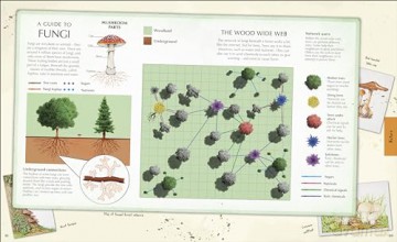 Explore: A Collection of Maps and Diagrams That Explain the World [KSIĄŻKA]