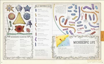 Explore: A Collection of Maps and Diagrams That Explain the World [KSIĄŻKA]