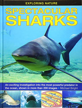 Exploring Nature: Spectacular Sharks (Exploring Nature (Armadillo)): An Exciting Investigation Into the Most Powerful Predator in the Ocean, Shown in More Than 200 Images - Michael Bright [KSIĄŻKA]