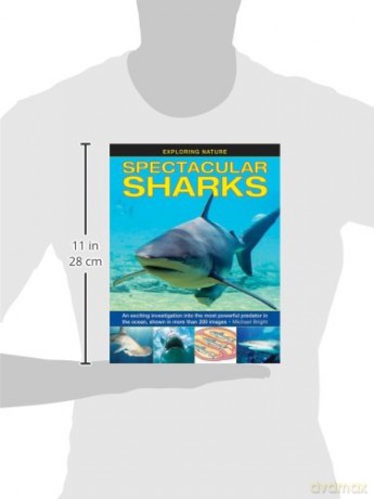 Exploring Nature: Spectacular Sharks (Exploring Nature (Armadillo)): An Exciting Investigation Into the Most Powerful Predator in the Ocean, Shown in More Than 200 Images - Michael Bright [KSIĄŻKA]