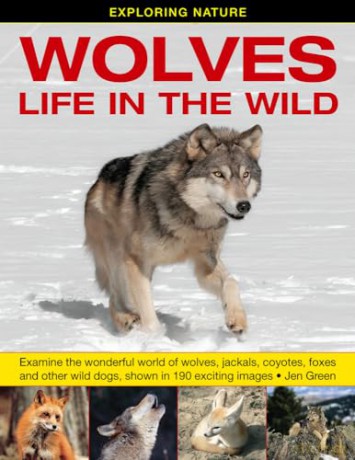 Exploring Nature: Wolves - Life in the Wild: Examine the Wonderful World of Wolves, Jackals, Coyotes, Foxes and Other Wild Dogs, Shown in 190 Exciting Images - Jen Green [KSIĄŻKA]