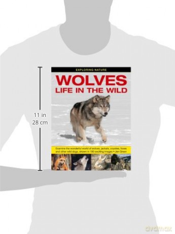 Exploring Nature: Wolves - Life in the Wild: Examine the Wonderful World of Wolves, Jackals, Coyotes, Foxes and Other Wild Dogs, Shown in 190 Exciting Images - Jen Green [KSIĄŻKA]