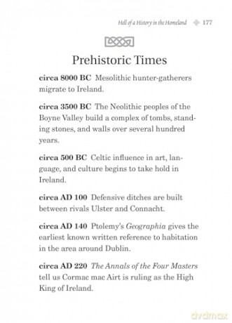 F*ck You, I'm Irish: Why We Irish Are Awesome - Rashers Tierney [KSIĄŻKA]
