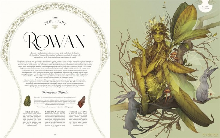 Faedom: Enter the World of Fairies - Agnes Monod-Gayraud [KSIĄŻKA]