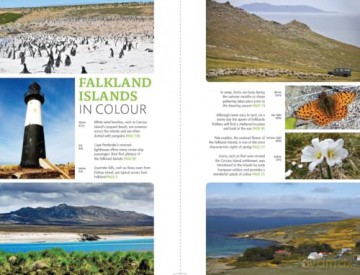 Falkland Islands (Bradt Travel Guides) - Will Wagstaff [KSIĄŻKA]