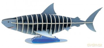 Fantastic Fearsome Sharks (Ignite STEM Book + Model Kit) - Kit Elliot [KSIĄŻKA]