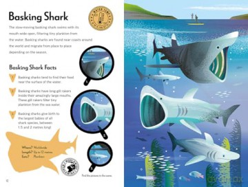 Fantastic Fearsome Sharks (Ignite STEM Book + Model Kit) - Kit Elliot [KSIĄŻKA]