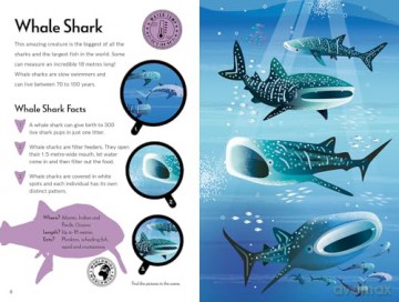 Fantastic Fearsome Sharks (Ignite STEM Book + Model Kit) - Kit Elliot [KSIĄŻKA]