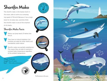 Fantastic Fearsome Sharks (Ignite STEM Book + Model Kit) - Kit Elliot [KSIĄŻKA]