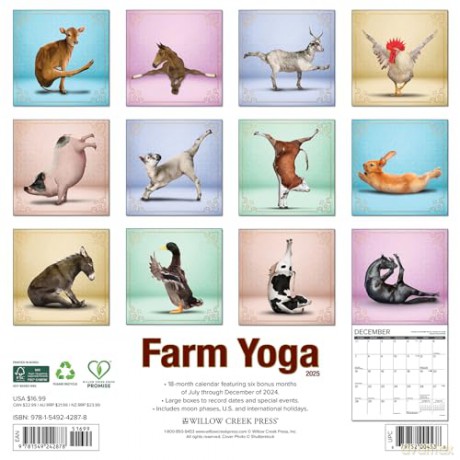 Farm Yoga 2025 Wall [KSIĄŻKA]