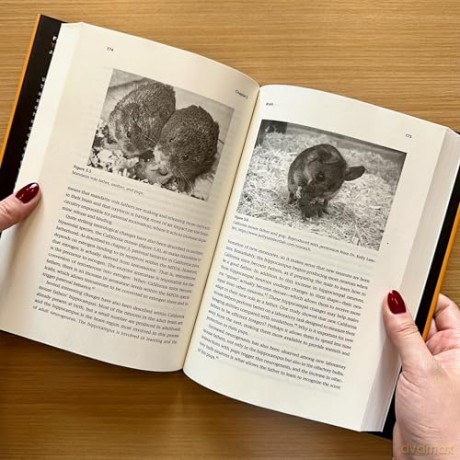 Father Nature: The Science of Paternal Potential - James K. Rilling [KSIĄŻKA]