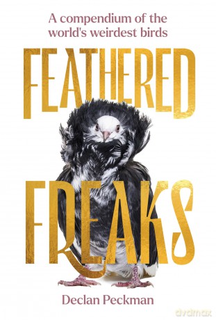 Feathered Freaks: A compendium of the world's weirdest birds - Declan Peckman [KSIĄŻKA]