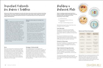 Feeding Tiny Bellies: Over 100 Baby-Led Weaning, Toddler, and Family Recipes: A Cookbook - Lily Payen [KSIĄŻKA]