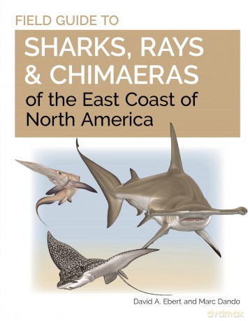 Field Guide to Sharks, Rays and Chimaeras of the East Coast of North America: 21 (Wild Nature Press) - Dr. David A. Ebert [KSIĄŻKA]