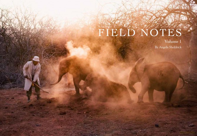 Field Notes: Volume 1 - Angela Sheldrick [KSIĄŻKA]