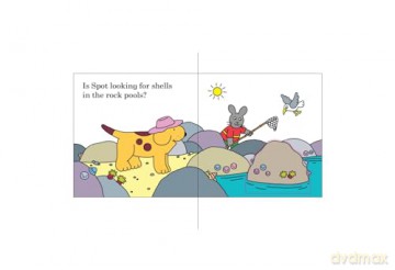 Find Spot at the Beach: A Lift-the-Flap Story - Eric Hill [KSIĄŻKA]