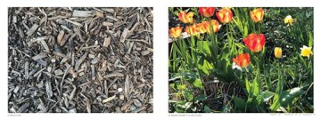 Find the Poo #2 Without Worrying About Where You Step Again - Joe Shyllit [KSIĄŻKA]