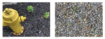 Find the Poo #2 Without Worrying About Where You Step Again - Joe Shyllit [KSIĄŻKA]