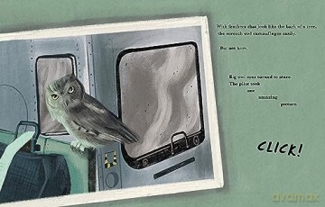 Fire Flight: A Wildfire Escape - Cedar Pruitt [KSIĄŻKA]