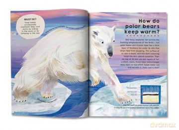 First Big Book of How: How do polar bears keep warm How do keys open locks How do spacesuits work The ultimate book of answers for kids who need to know HOW! - Sally Symes [KSIĄŻKA]