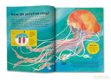 First Big Book of How: How do polar bears keep warm How do keys open locks How do spacesuits work The ultimate book of answers for kids who need to know HOW! - Sally Symes [KSIĄŻKA]
