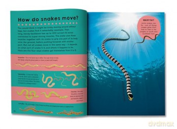 First Big Book of How: How do polar bears keep warm How do keys open locks How do spacesuits work The ultimate book of answers for kids who need to know HOW! - Sally Symes [KSIĄŻKA]