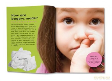 First Big Book of How: How do polar bears keep warm How do keys open locks How do spacesuits work The ultimate book of answers for kids who need to know HOW! - Sally Symes [KSIĄŻKA]