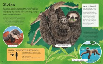 First Picture Encyclopedia of Animals (Arcturus First Picture Encyclopedias) - Belinda Gallagher [KSIĄŻKA]