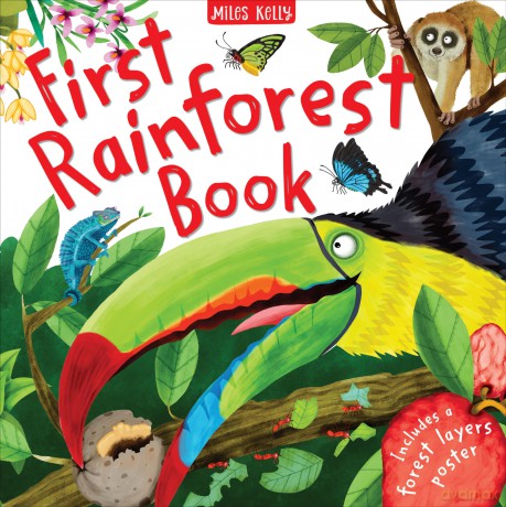 First Rainforest Book - Camilla de la Bedoyere [KSIĄŻKA]