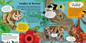 First Rainforest Book - Camilla de la Bedoyere [KSIĄŻKA]