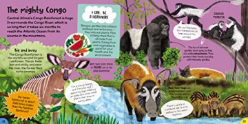 First Rainforest Book - Camilla de la Bedoyere [KSIĄŻKA]