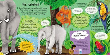 First Rainforest Book - Camilla de la Bedoyere [KSIĄŻKA]
