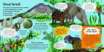 First Rainforest Book - Camilla de la Bedoyere [KSIĄŻKA]