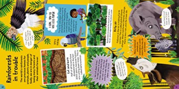First Rainforest Book - Camilla de la Bedoyere [KSIĄŻKA]