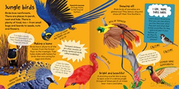 First Rainforest Book - Camilla de la Bedoyere [KSIĄŻKA]