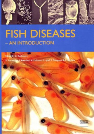 Fish Diseases: An Introduction - K Buchmann [KSIĄŻKA]