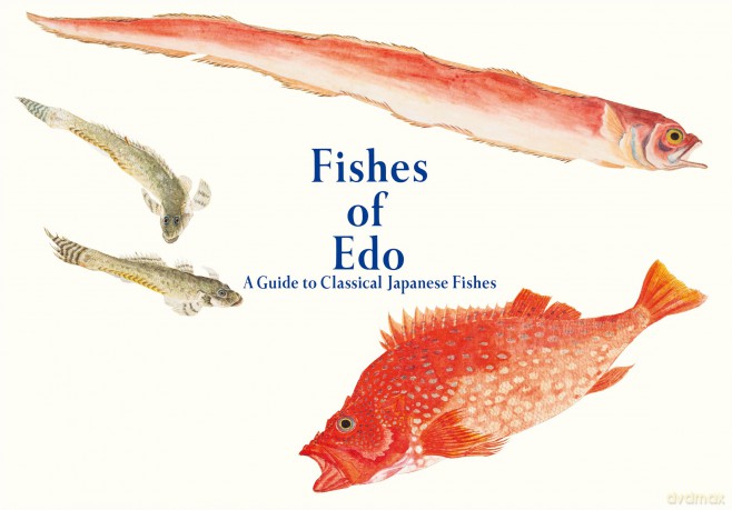 Fishes of Edo: A Guide to Classical Japanese Fishes (Pie EDO Nature Illustration) - Kazuhiko Tajima [KSIĄŻKA]