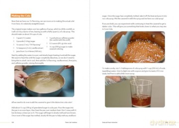 Flavor Lab Creations: A Physicist's Guide to Unique Drink Recipes (The Science of Drinks, Alcoholic Beverages, Coffee and Tea) - Logan Richardson [KSIĄŻKA]