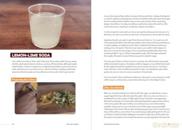 Flavor Lab Creations: A Physicist's Guide to Unique Drink Recipes (The Science of Drinks, Alcoholic Beverages, Coffee and Tea) - Logan Richardson [KSIĄŻKA]