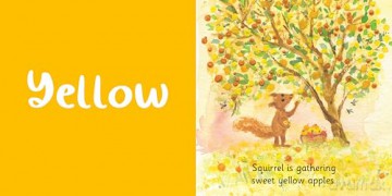 Fletcher's Colours (Fletcher's Four Seasons) - Julia Rawlinson [KSIĄŻKA]