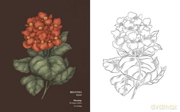 Floriography Coloring Book - Jessica Roux [KSIĄŻKA]