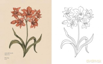 Floriography Coloring Book - Jessica Roux [KSIĄŻKA]